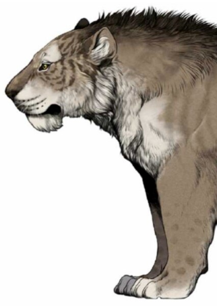 Panthera Fossilis