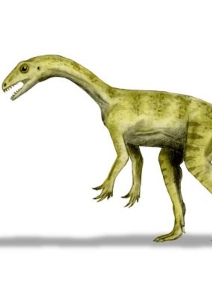 Pantydraco