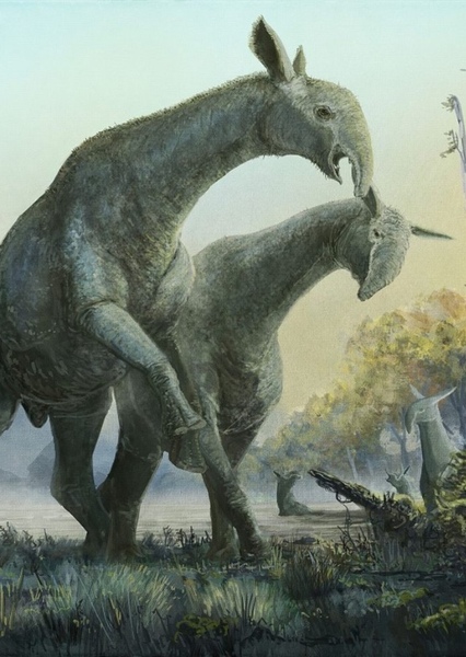 Paraceratherium photo