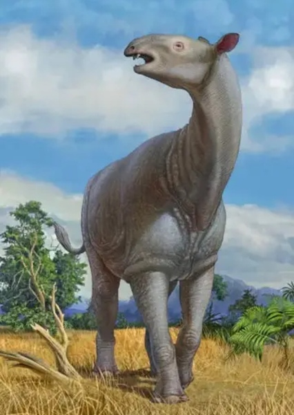 Paraceratherium photo