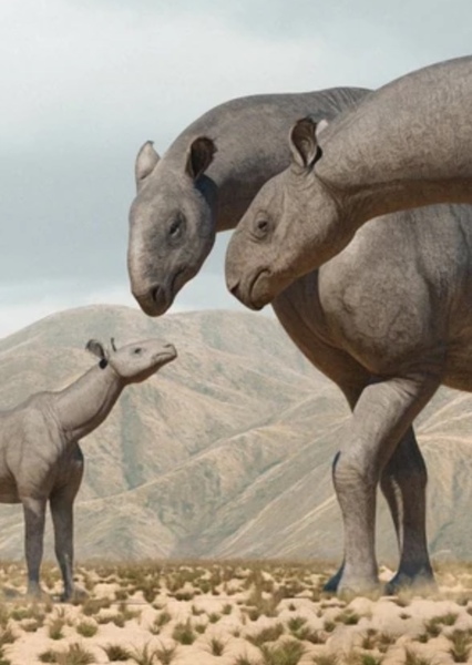 Paraceratherium photo