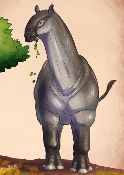 Paraceratherium photo