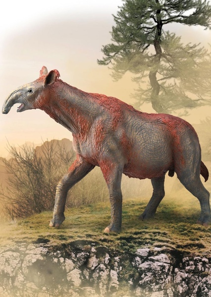 Paraceratherium photo