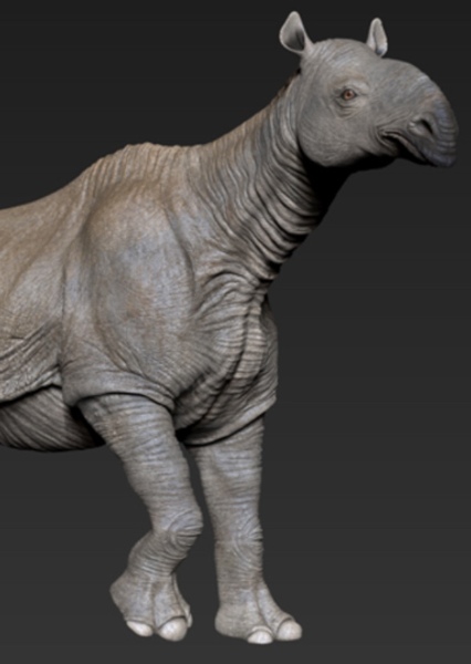 Paraceratherium photo