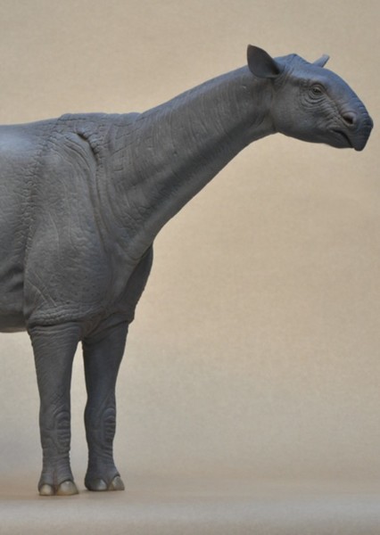 Paraceratherium photo