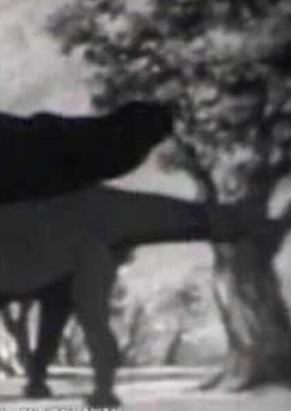 Paraceratherium (Journey Into Time)