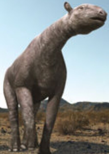 Paraceratherium (Life After Dinosaurs)