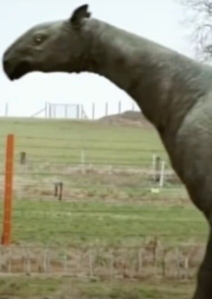 Paraceratherium (Top 10 Biggest Beasts Ever)