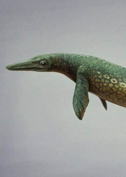 Parahupehsuchus
