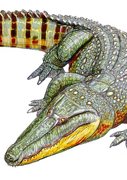 Paralligator