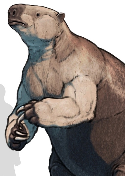Paramylodon