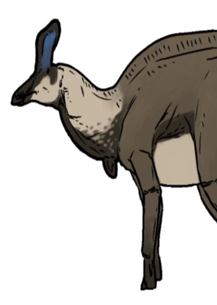 Pararhabdodon