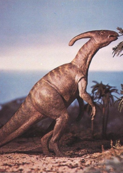 Parasaurolophus photo