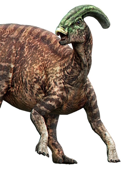 Parasaurolophus photo