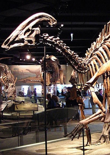 Parasaurolophus photo