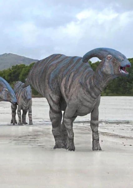 Parasaurolophus photo