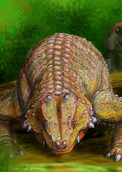 Pareiasaurus photo