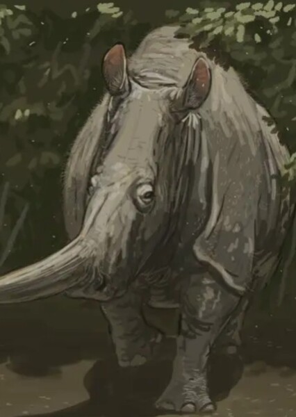 Parelasmotherium