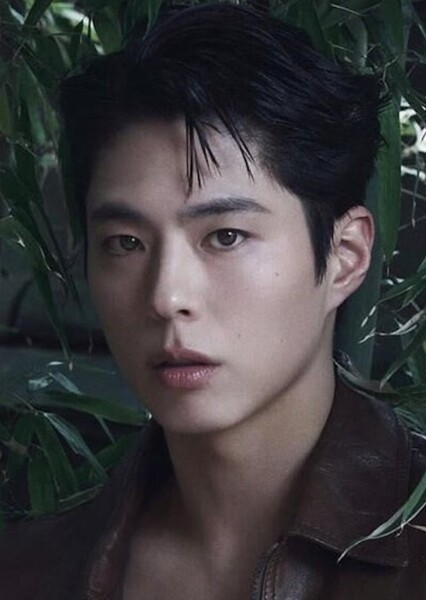 Park Bo-gum