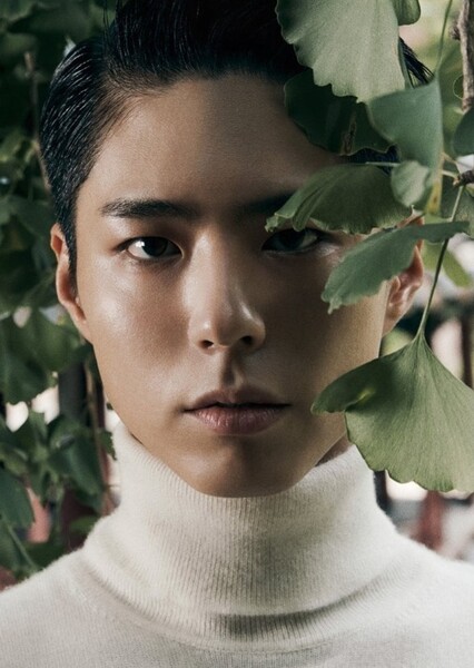 Park Bo-gum photo