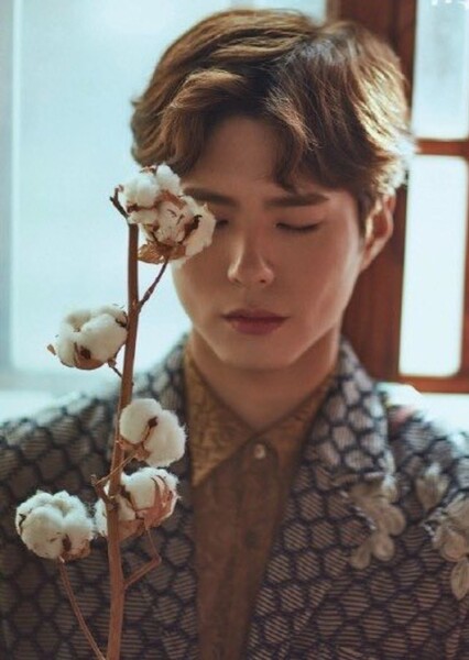 Park Bo-gum photo