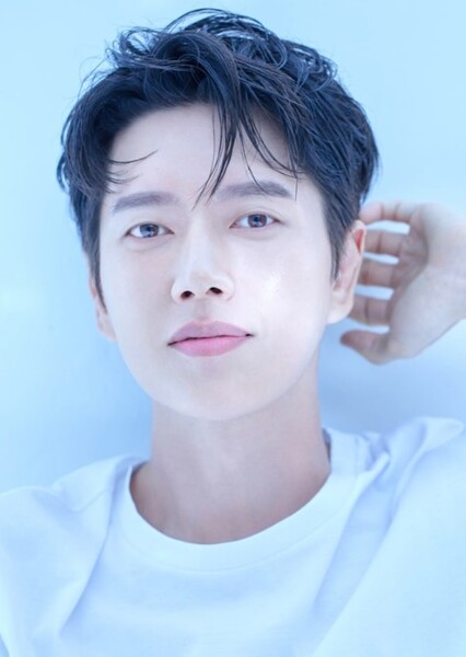Park Hae-jin photo