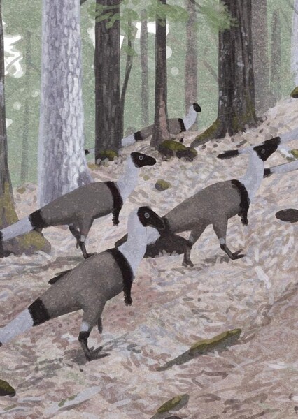 Parksosaurus