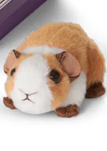 Parsley (American Girl) photo