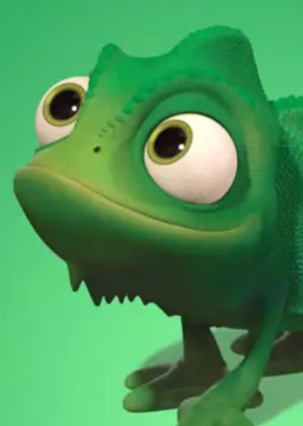 Pascal photo