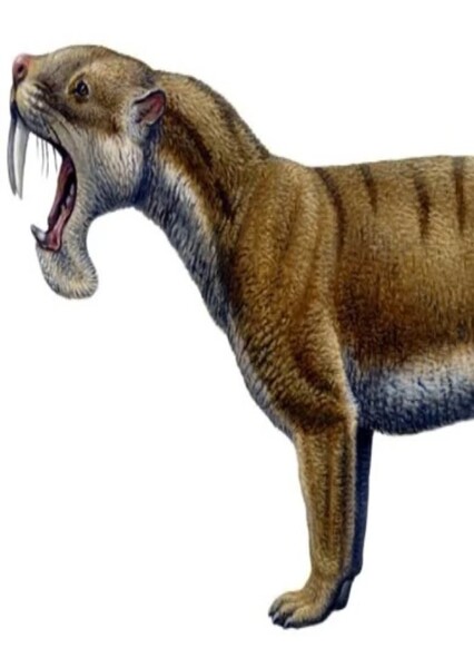 Patagosmilus