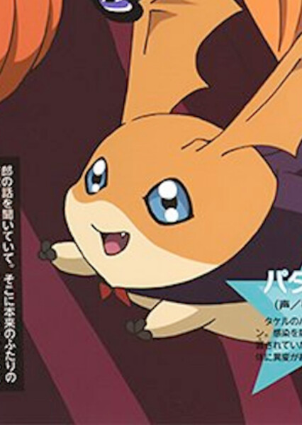 Patamon photo