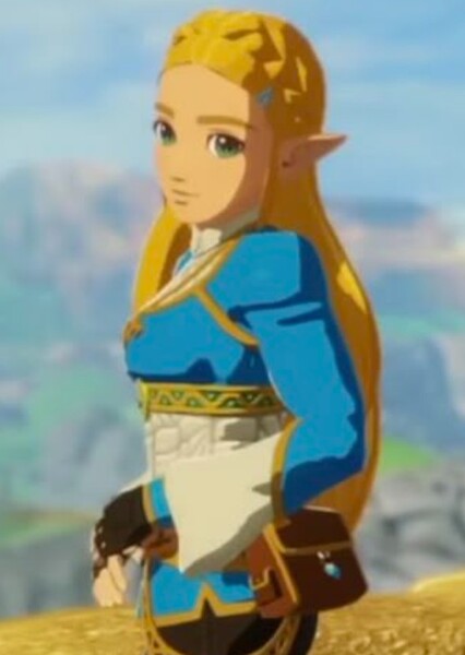 Princess Zelda / Sheik