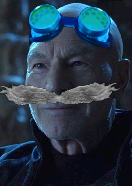 Patrick Stewart photo