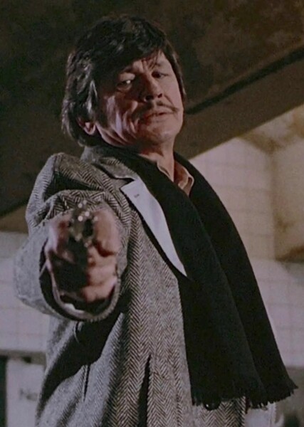Paul Kersey (Death Wish) photo