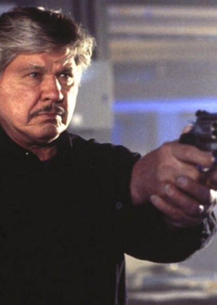 Paul Kersey (Death Wish) photo
