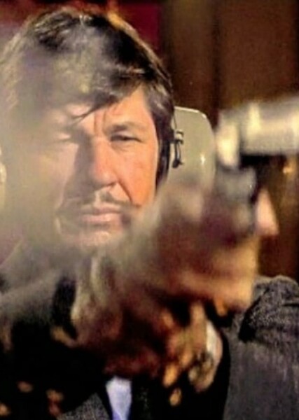 Paul Kersey (Death Wish) photo