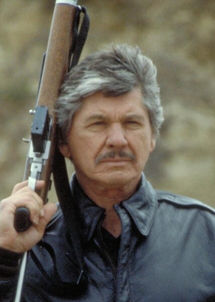 Paul Kersey (Death Wish) photo