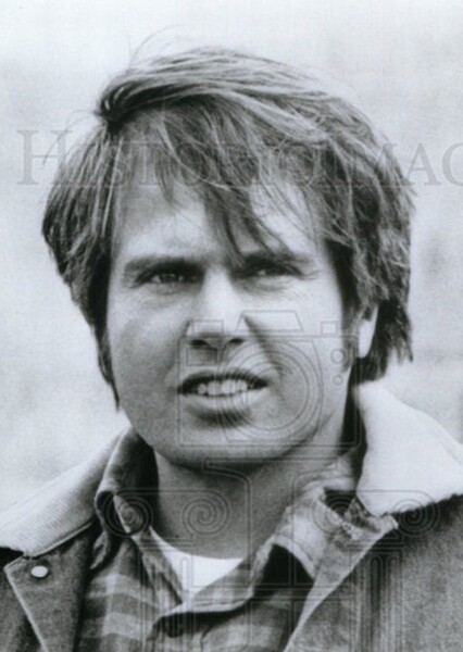 Paul Le Mat photo
