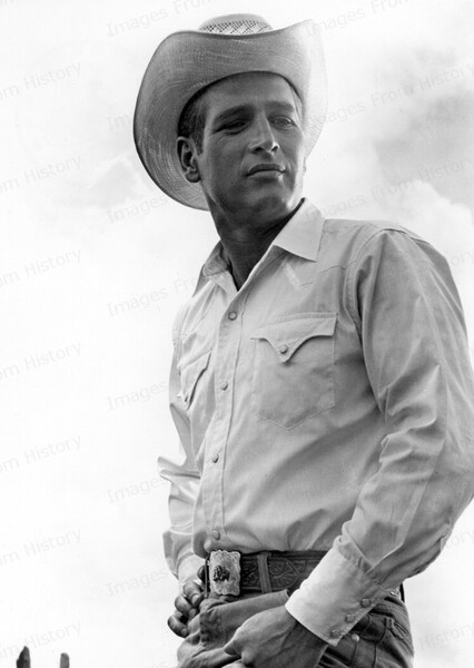 Paul Newman photo