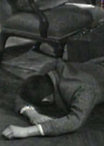 Paul Stoddard (Dark Shadows) photo