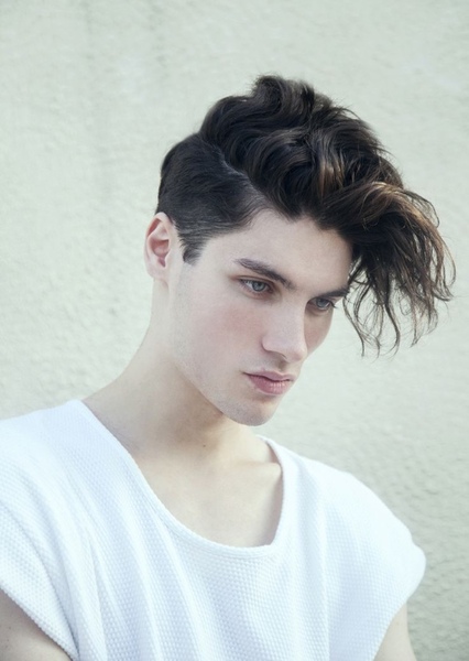 Pedro Aurelian photo