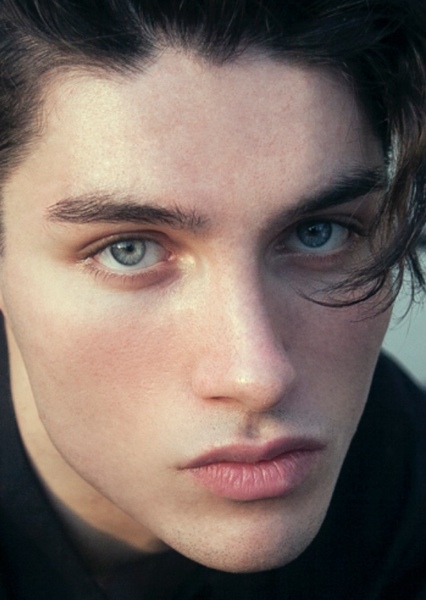 Pedro Aurelian photo