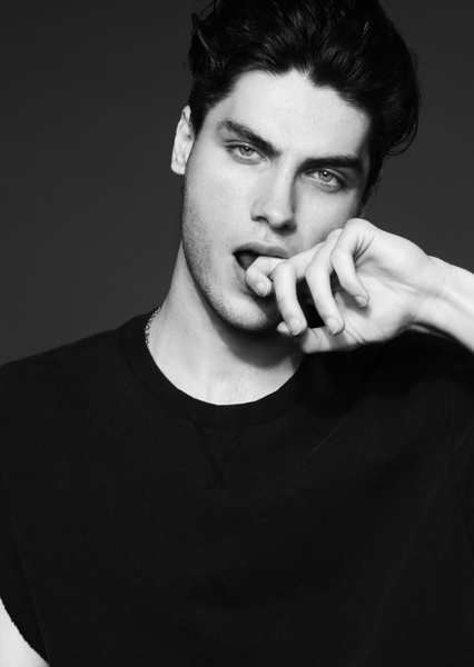 Pedro Aurelian photo