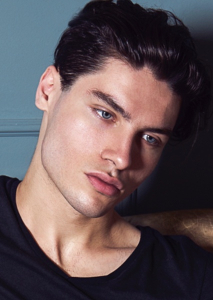 Pedro Aurelian photo