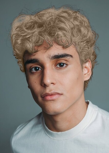 Pedro Goifman photo