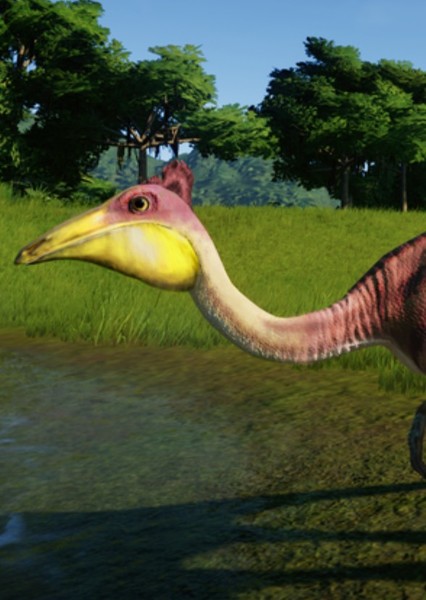 Pelecanimimus photo