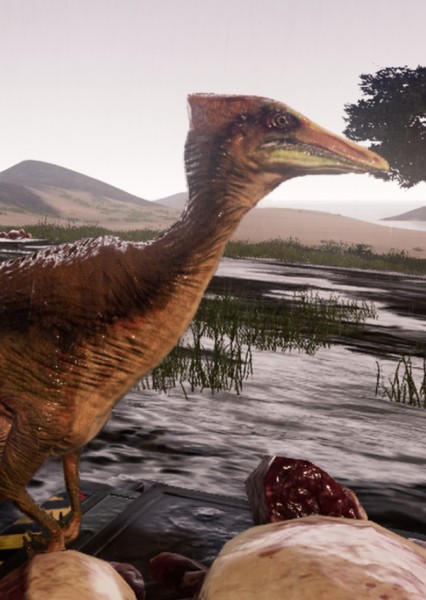 Pelecanimimus photo