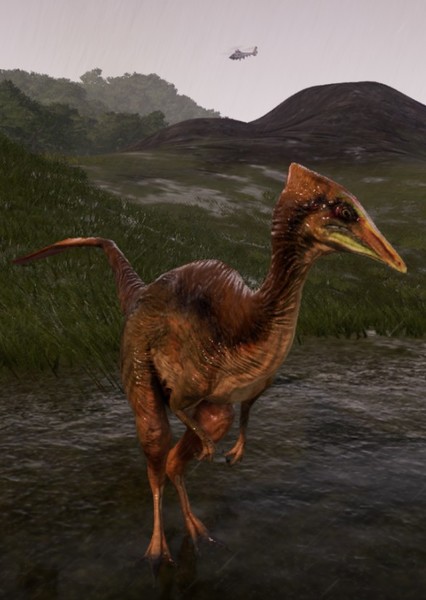 Pelecanimimus photo