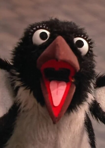 Penguins photo