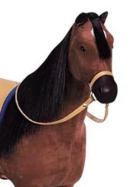 Penny (American Girl) photo